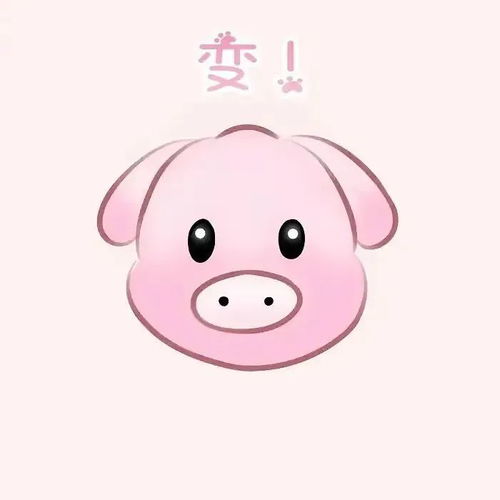 情侣头像丨情侣头像真人一人一半卡通动物情头