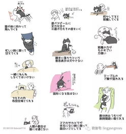 铲屎官辛苦了漫画家列出了养猫的15件心酸事