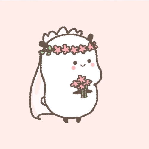 1收藏夹