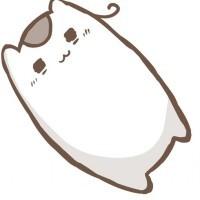 dym的日记