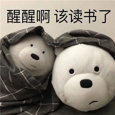读书人学习的可爱表情包一心向学的可爱表情大全