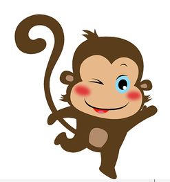 2016年小猴子