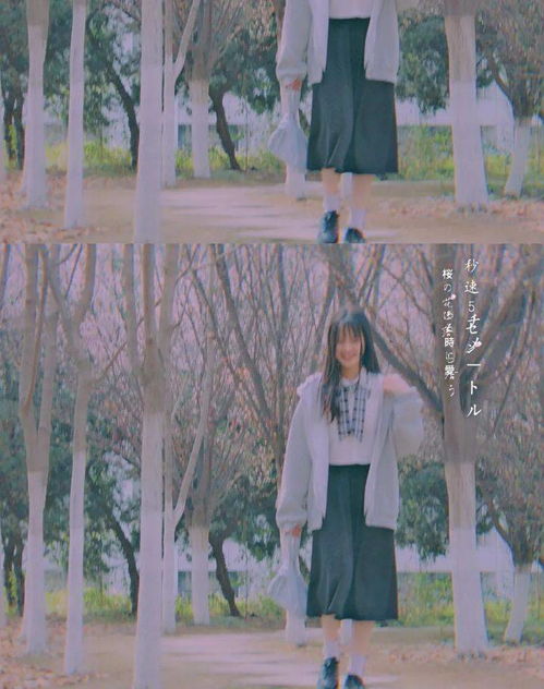 遇见洋光外语,是我的小幸运