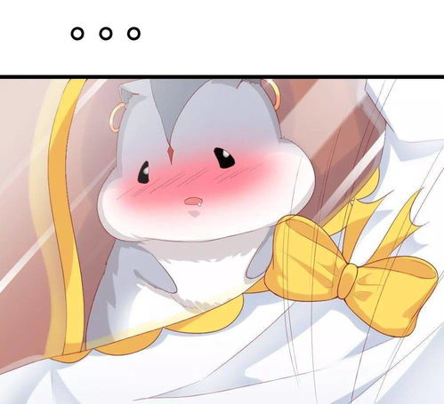 我的男神是仓鼠丨漫画