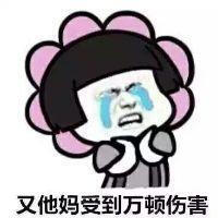 堆糖,美好生活研究所