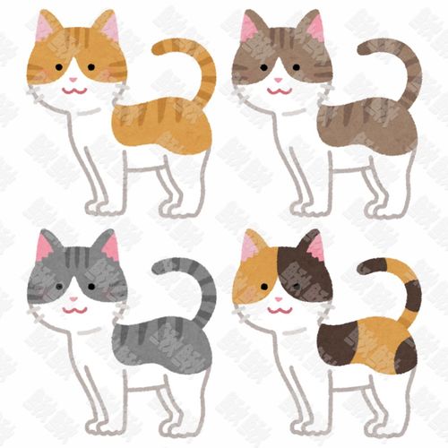 灰三花色各种颜色侧面照的小猫猫咪手绘卡通插画手绘png儿童插画免扣素材1阿猫阿狗