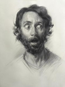 川美大师告诉你该掌握素描头像哪些技巧,如何取得高分
