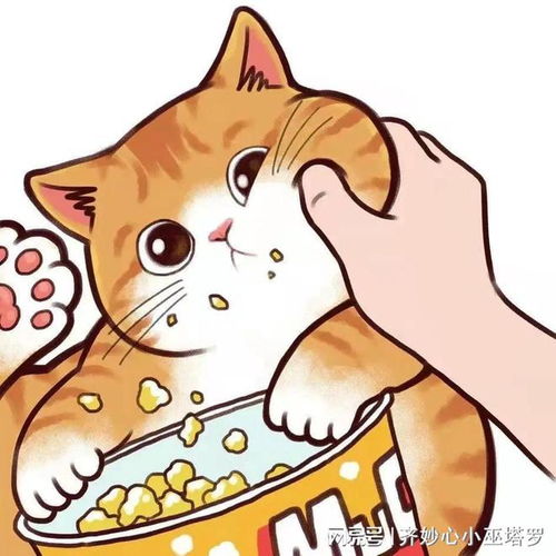 狮子座5月综合运势