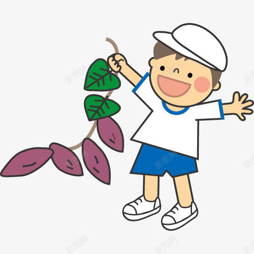 卡通男孩拿着一串红薯插画红薯苗元素免抠png设计图片免费下载页面网页平面电商创意素材地瓜素材