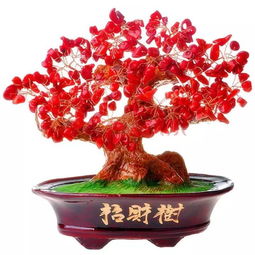 风水先生提醒风水摆错,神仙也救不了你