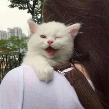 女生动漫可爱头像萌妹子女生动漫头像,个性头像图片