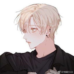 帮我找找这个情侣头的另一半