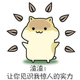 图片的动物叫虾米
