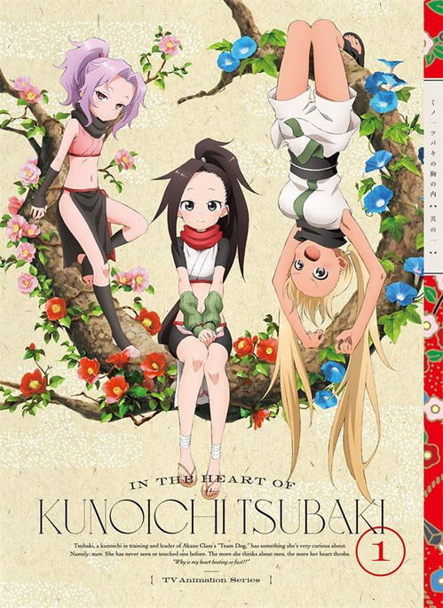动画女忍者椿的心事bluraydvd第1卷封面公开