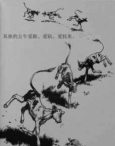 这部金球奖最佳动画电影,非常值得带孩子去看
