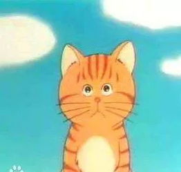 喵星人来袭动漫中高人气的猫咪角色,你想跟谁一起睡