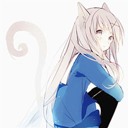 插画动漫二次元头像女