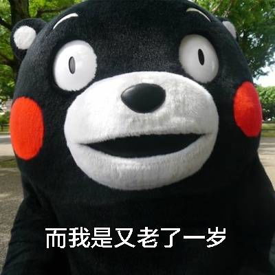 你不得了哦沙雕猫咪表情包沙雕猫咪表情