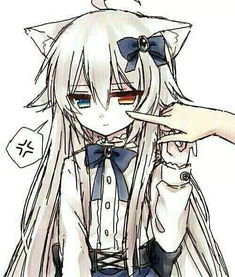 眼瞳蓝橙2种颜色,头发长颜色淡粉而且有猫耳的女生,是什么动漫