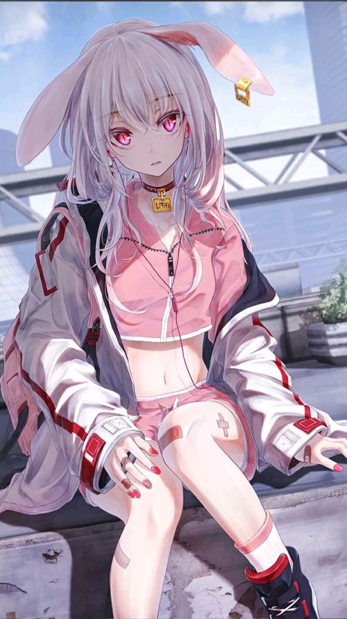 兔耳娘