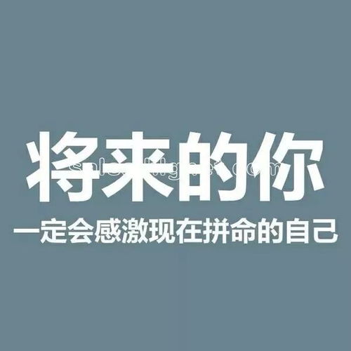 孩子,要有勇气把自己逼进好学校