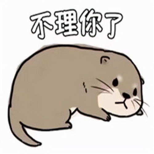 表情包小水獭超萌可爱呆萌的表情合集