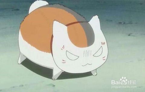 好看的搞笑的治愈的日本动漫推荐