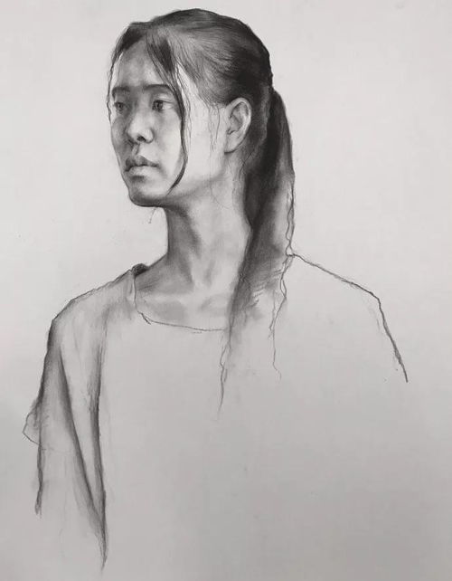 零基础素描入门如何学素描基本功教程附全套视频下载