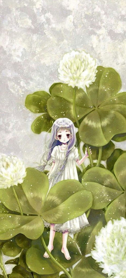 动漫四叶草少女