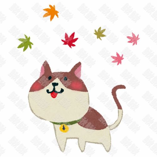秋天看红叶落叶的小狗狗猫咪小猫手绘卡通插画手绘png儿童插画免扣素材1阿猫阿狗