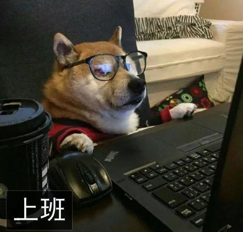 太准了汉中人春节最后悔的10件事