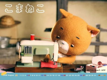 布偶猫猫精美壁纸赏析3