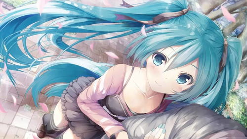 宅这曲线引人遐想,初音未来