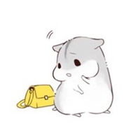 仓鼠头像图片大全可爱微信头像图片大全