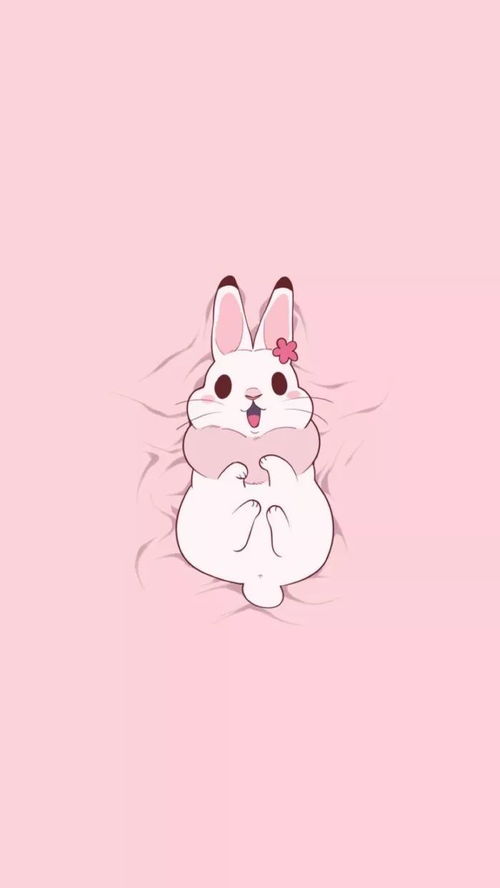 今日份壁纸丨满满少女心