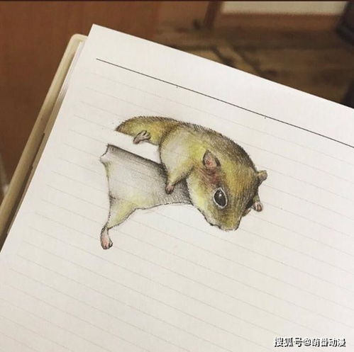 当本子遇到二次元插画师,爬上栏杆的小动物们实在太可爱了
