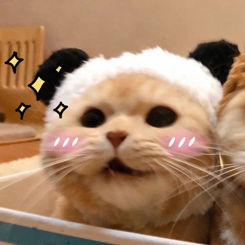 换上情侣头像,就是我的人