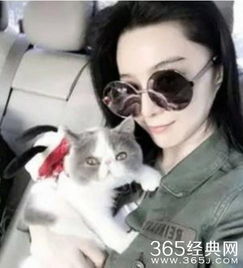 明星的小宠物们哪只最可爱最后那只最厉害