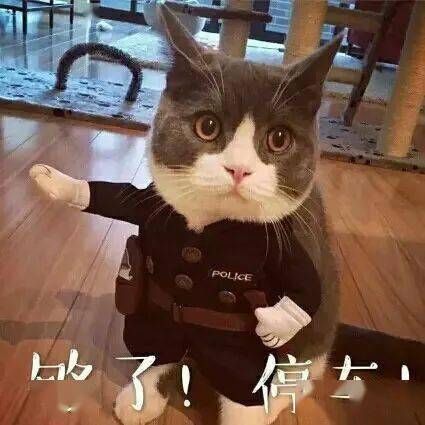 男朋友到底有什么用