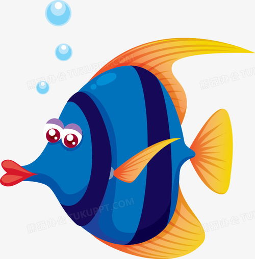 卡通海洋动物png图片素材免费下载卡通动物png708721像素熊猫办公