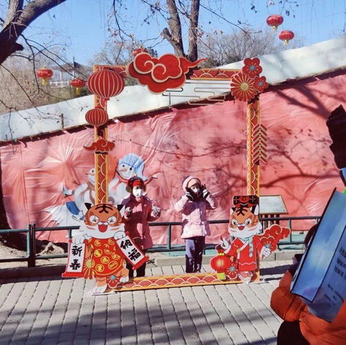 北京市属公园2022虎年生肖吉祥物萌萌正式上线啦