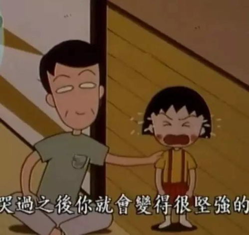 再见了,樱桃小丸子