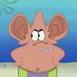 幽默搞笑段子集只要一脚油门,能让所有路人,为你而疯狂
