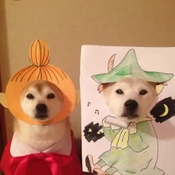 2只柴犬被cos成了牛郎织女乔巴马里奥...