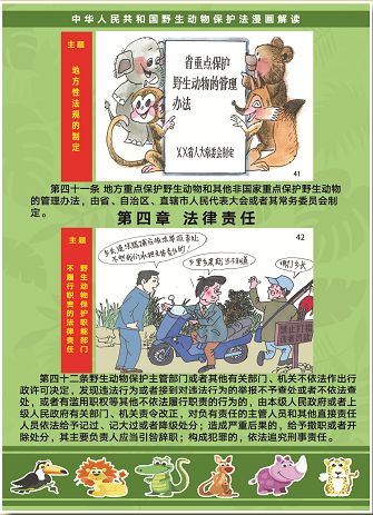 请传阅漫画图解新版野生动物保护法