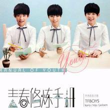 青春修炼手册tfboys演唱歌曲搜狗百科