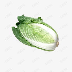 食物图标蔬菜矢量图清新白菜素材图片免费下载高清装饰图案png千库网图片编号45174