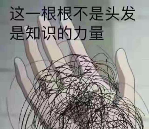 一定是吃可爱长大的吧轻松有趣儿漫画家笔下动物们的小故事