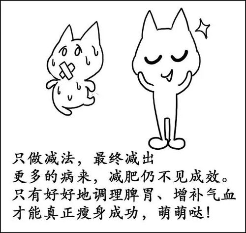 气血与肥胖的关系