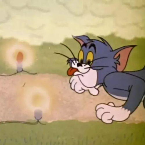 喜欢猫和老鼠头像合集